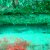 JPEG_2016_plongee